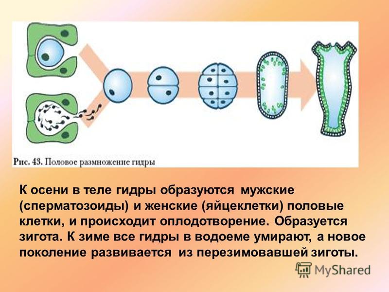 Как вернуть профиль в кракене