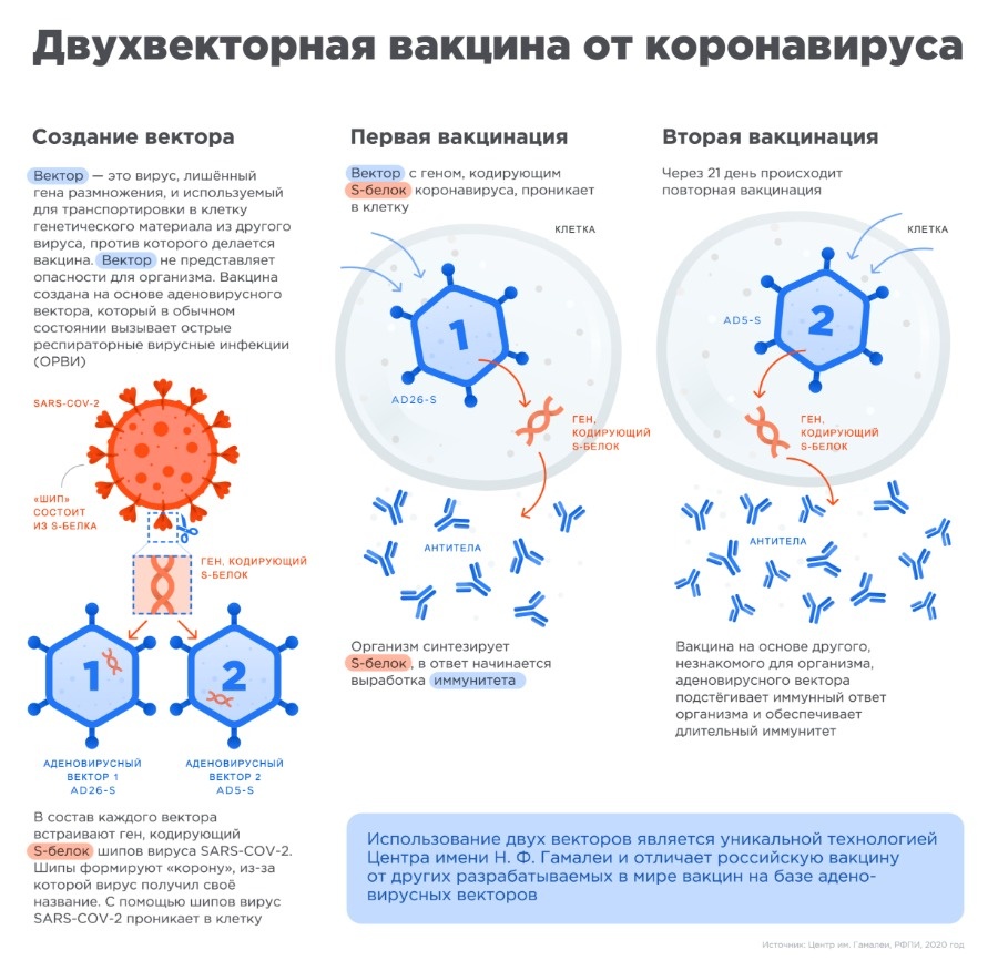 Гидра и кракен